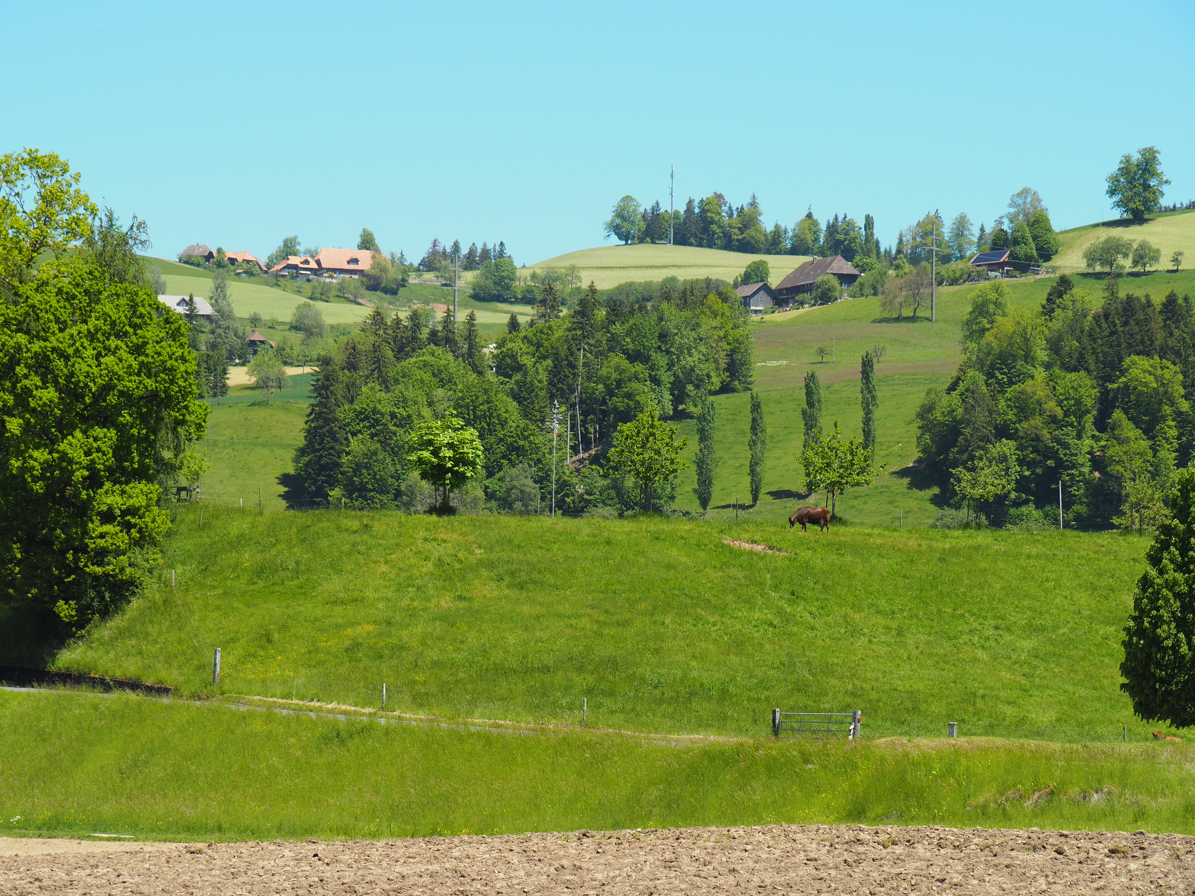 Strukturierte Landschaft in Ranflüh