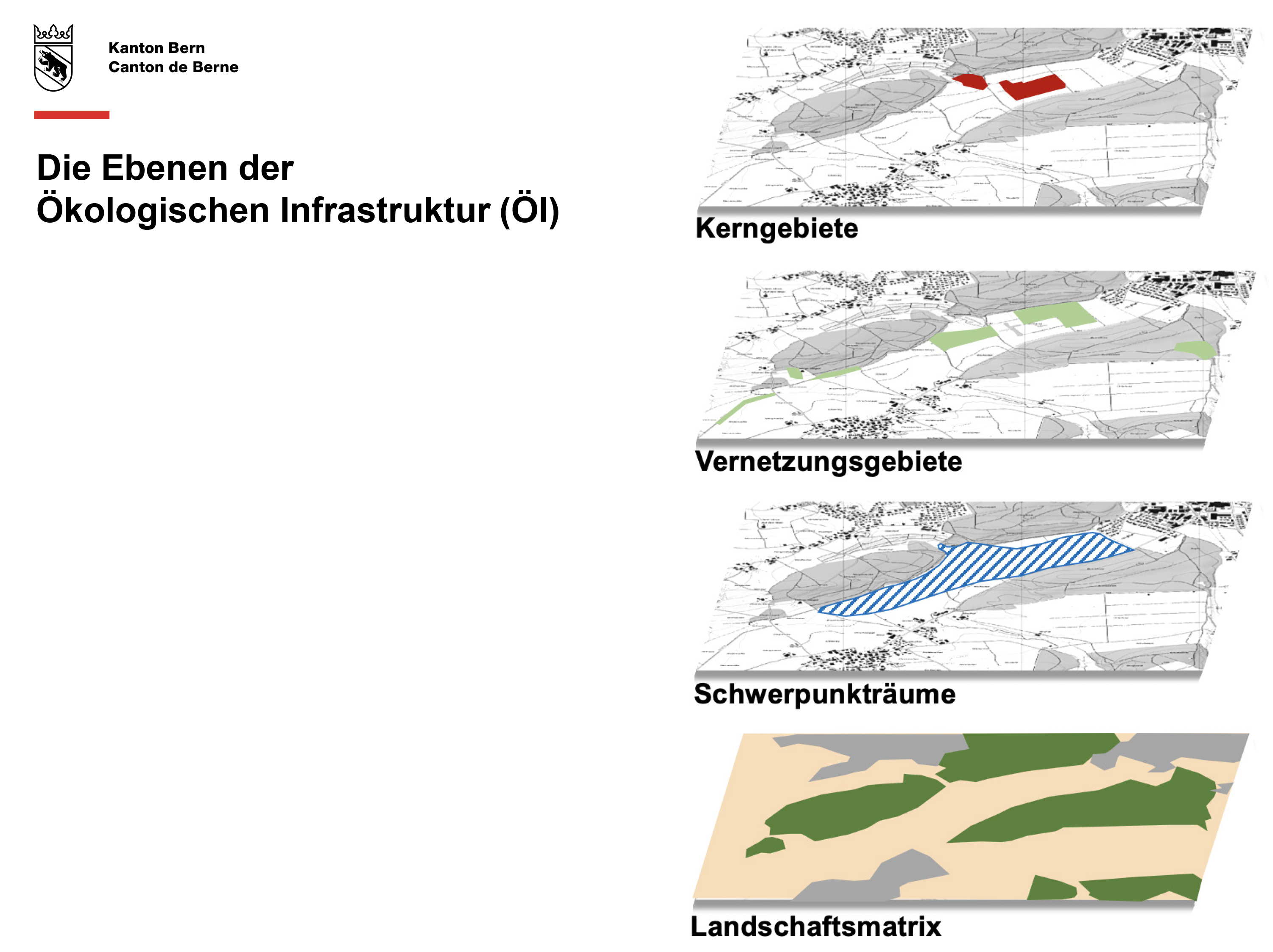 Schwerpunkträume, eine Ebene der Ökologischen Infrastruktur