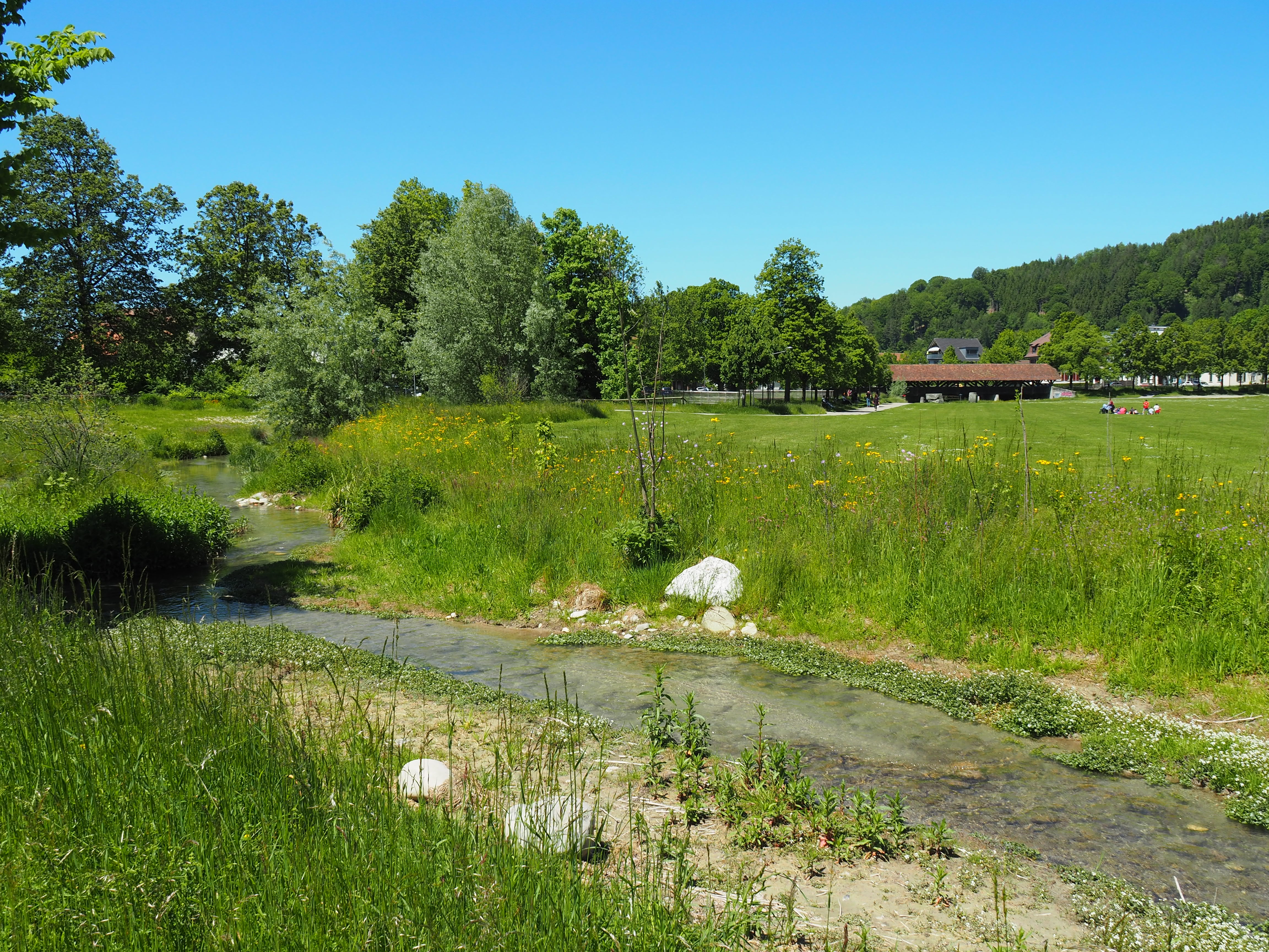 Naturnaher Stadtbach in Burgdorf