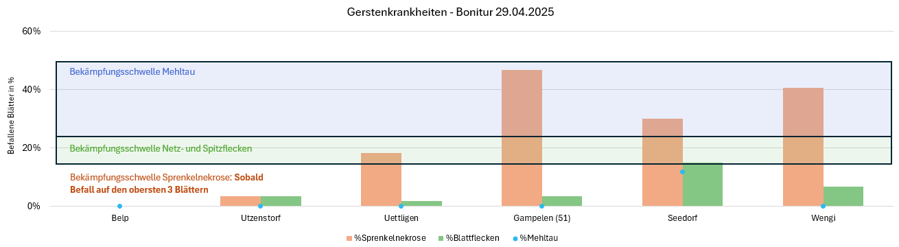 Die Sprenkelnekrose verbreitet sich aktuell weiter. Eine Bekämpfung ist noch bis Beginn Ähreschieben möglich.
